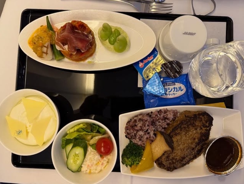 モンゴルへ向かう政府専用機での昼食
