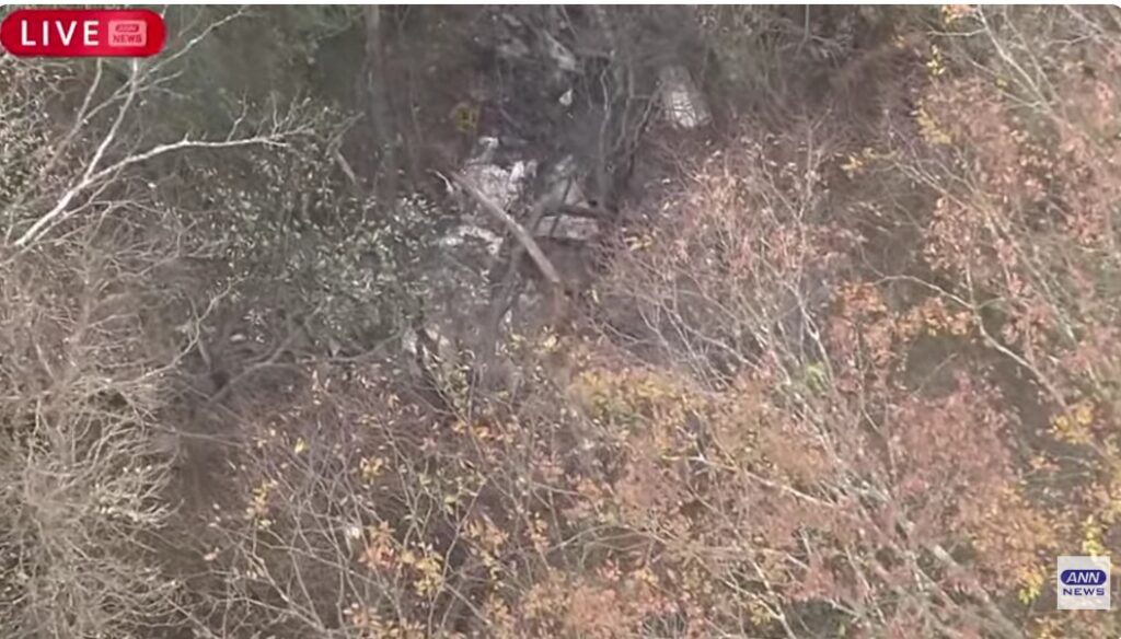 焦げた機体と思われるもの