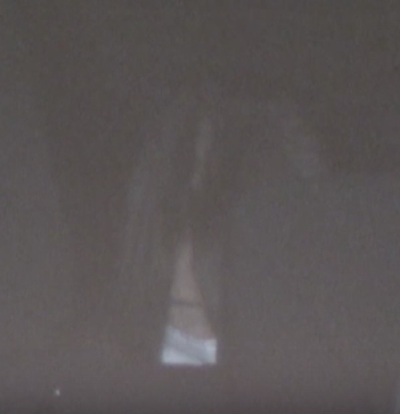 警察車両で移動する安福久美子容疑者