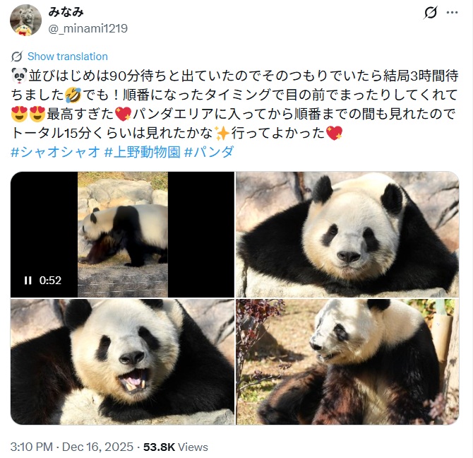 2025年12月16日は3時間待ちでパンダが見れた