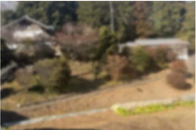 大内拓実の生家