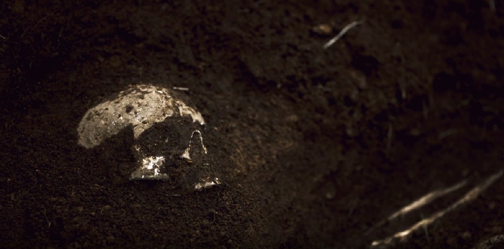 白骨化した一香の遺体